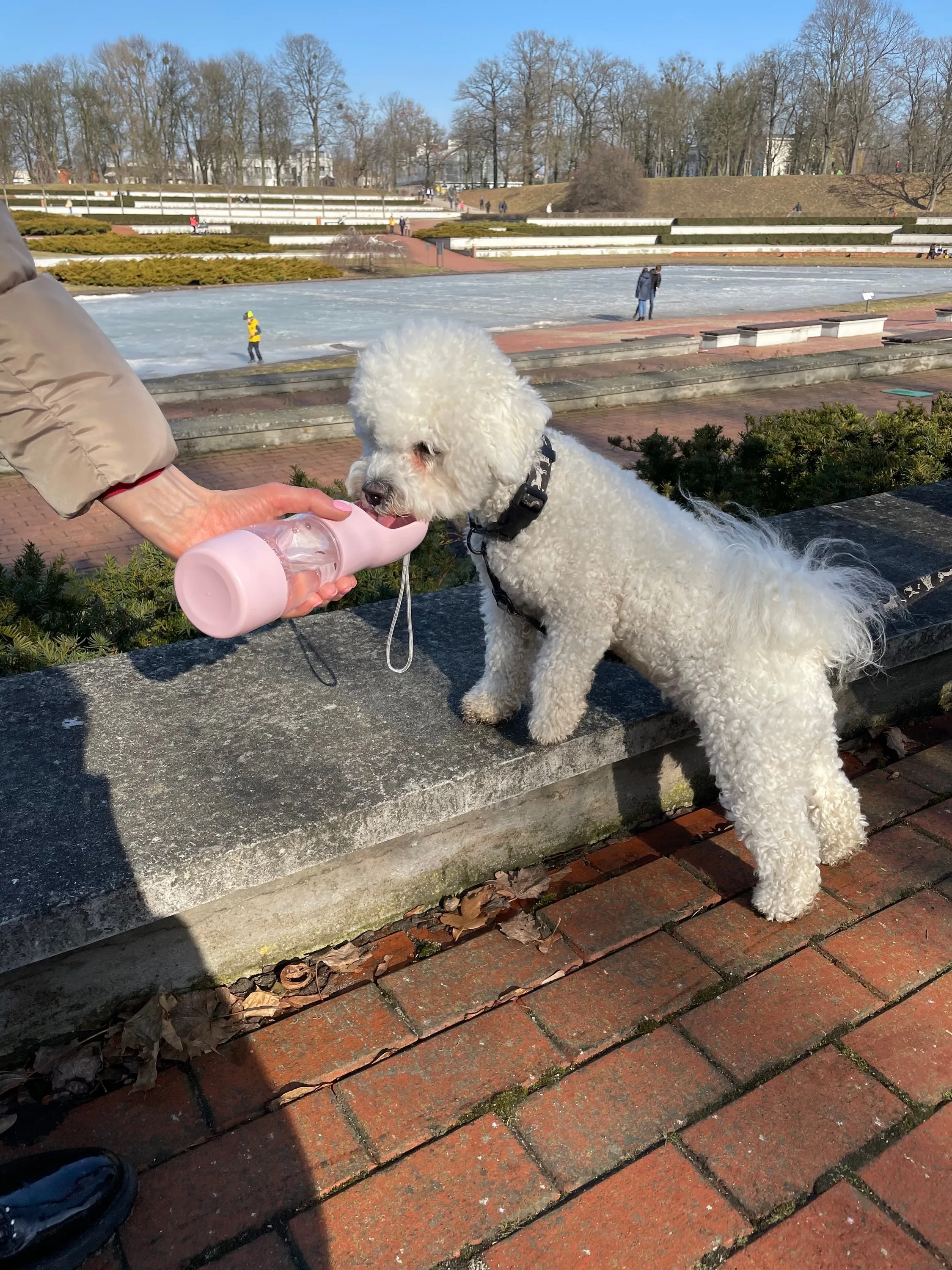 Dog & Cat Portable Food & Water Bottle