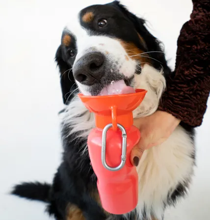 Dog Travel Bottle - Classic - 650ml