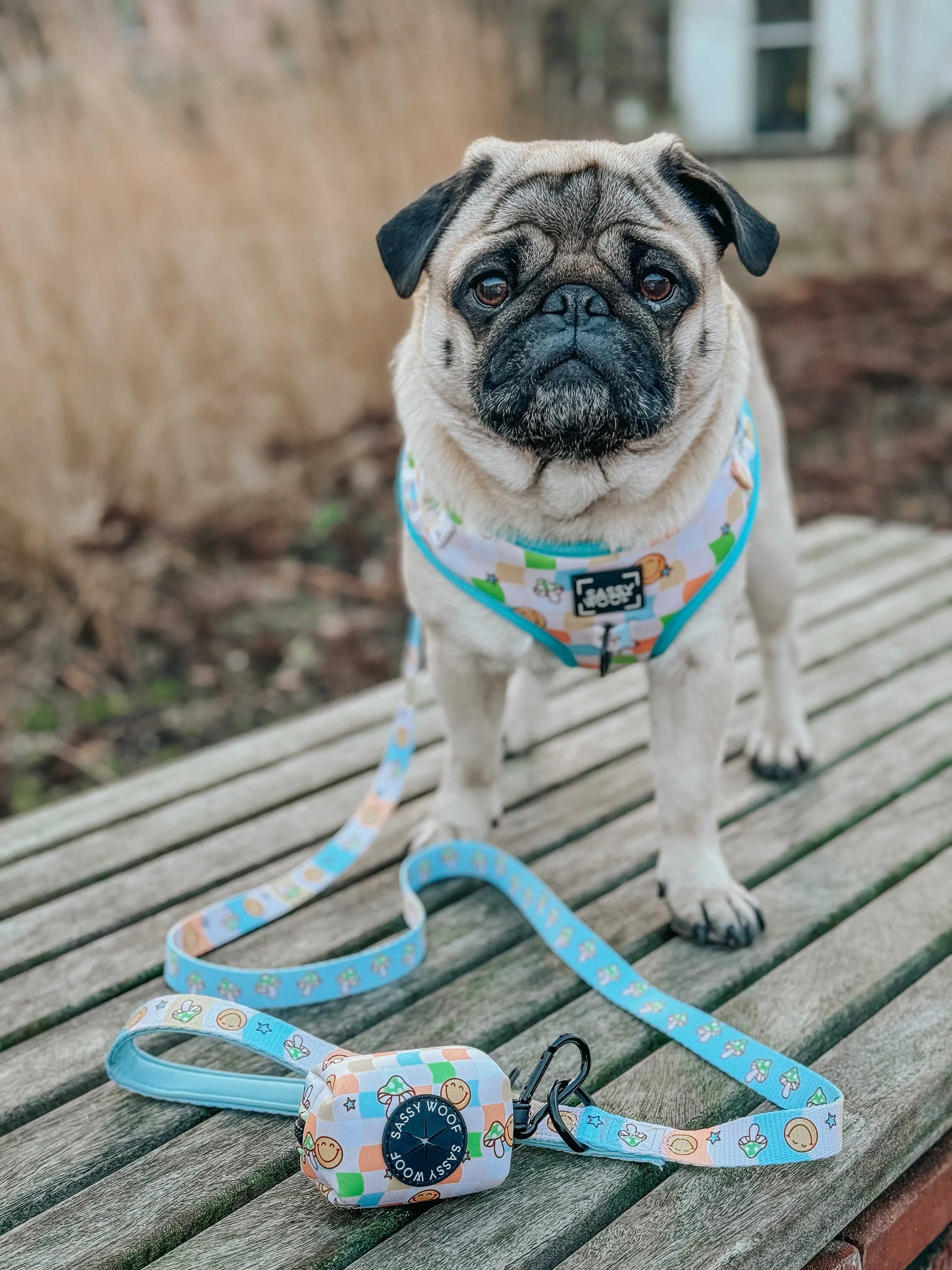 Dog Waste Bag Holder - Mush Love