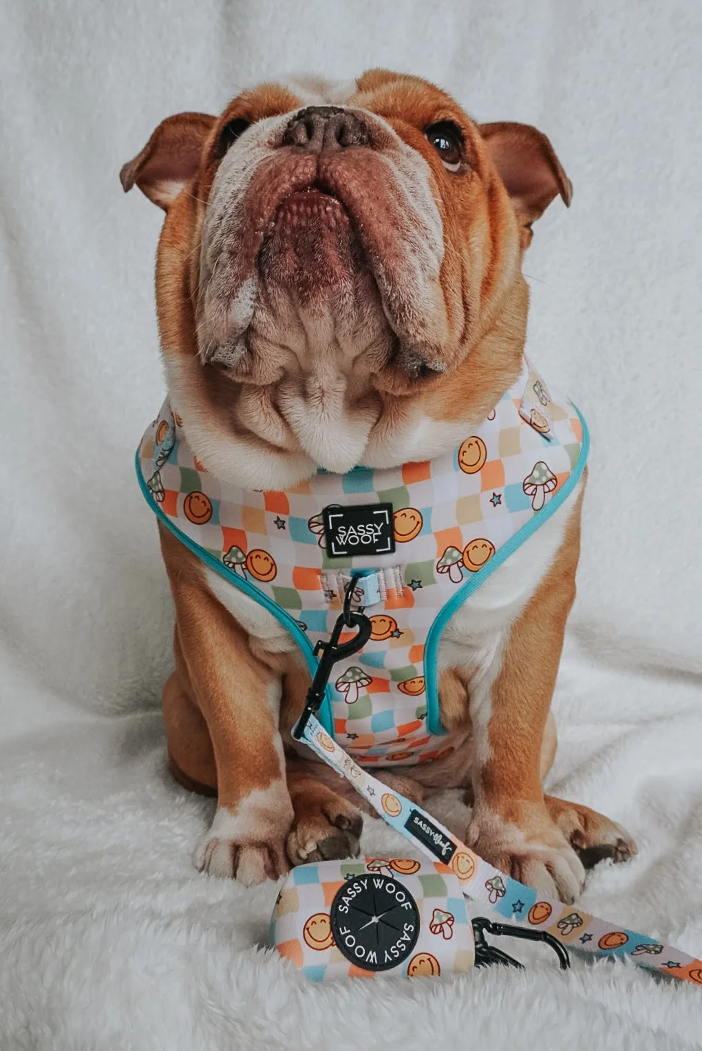 Dog Waste Bag Holder - Mush Love