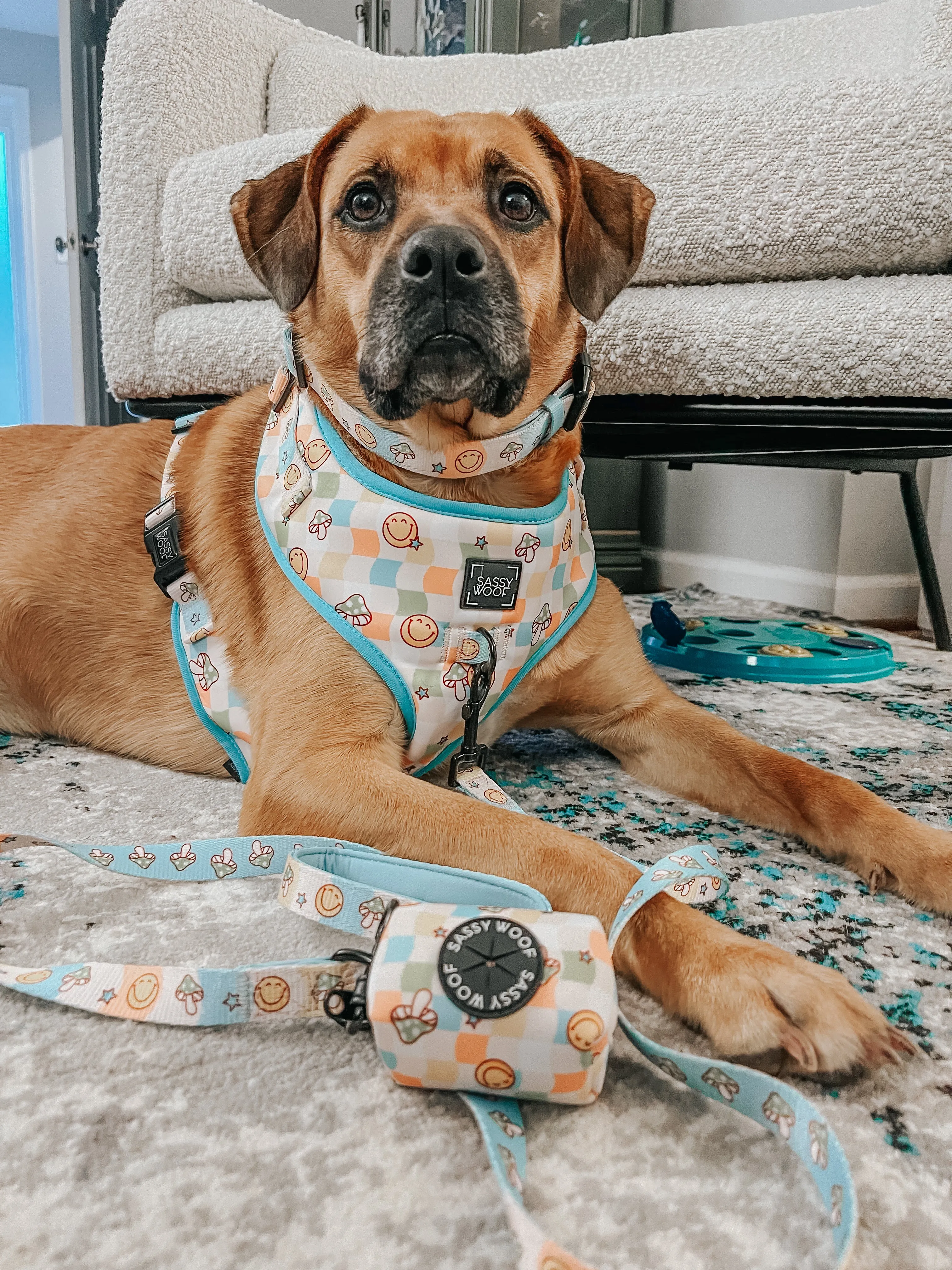 Dog Waste Bag Holder - Mush Love