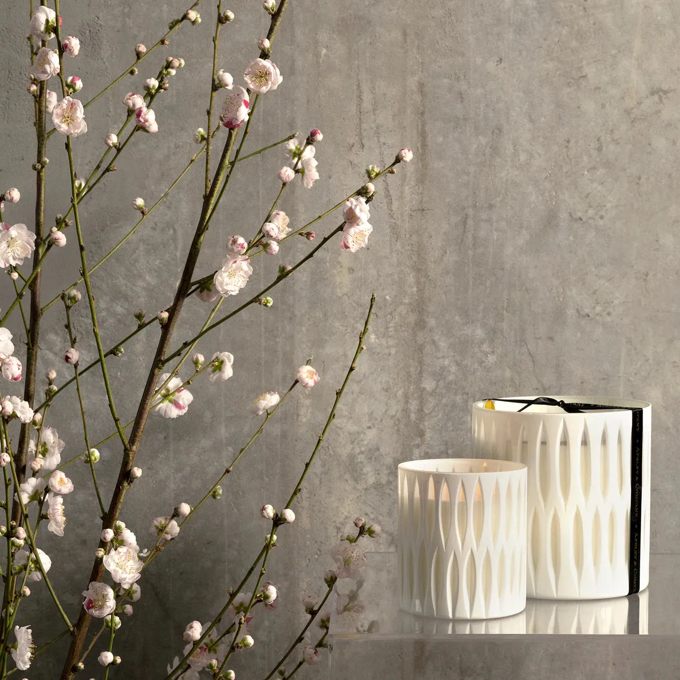 Glimpse Blanc Luxury Candle 440g by Apsley and Company