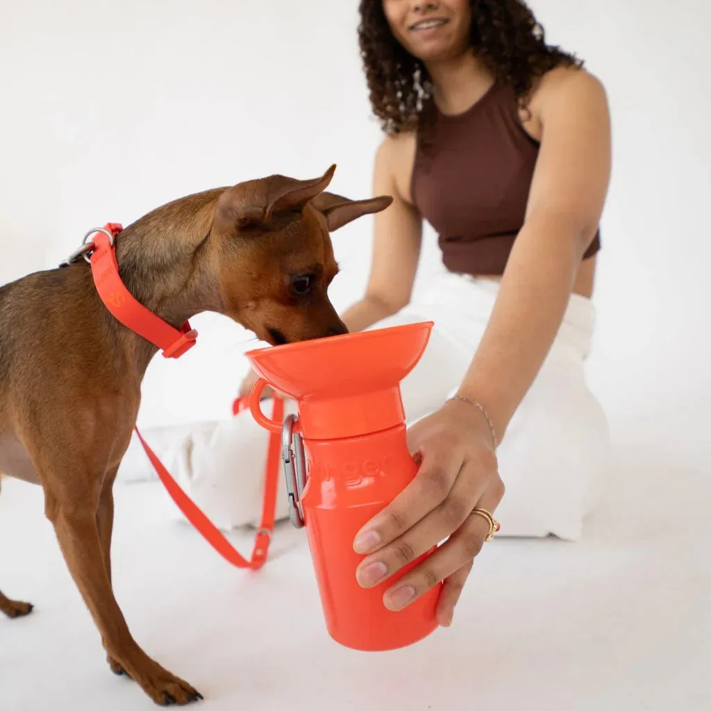 Mini Dog Travel Bottle 15oz - Poppy
